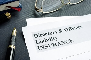 directors and officers liability d&o insurance