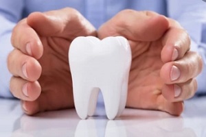 two hands around a tooth model