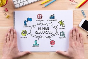 human resource duties chart